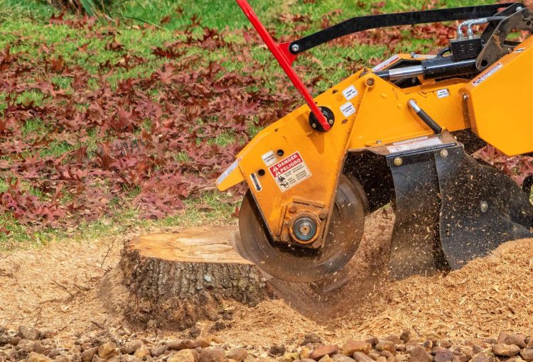 Contractor using a stump grinder to remove a tree stump in a residential yard